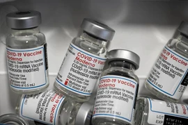 Vaccine ngừa COVID-19 của Moderna. (Ảnh: AFP/TXVN) 