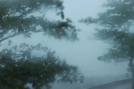 Khoảnh khắc cây cối oằn mình trước gió bão ở Hải Phòng