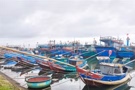 Tàu thuyền của ngư dân Quảng Trị tại Khu neo đậu Nam Cửa Việt. (Ảnh: Nguyên Lý/TTXVN)
