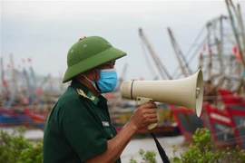 Kêu gọi tàu thuyền vào nơi tránh trú an toàn. (Ảnh minh họa: TTXVN) 