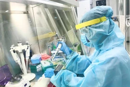 Ảnh minh họa. (Nguồn: TTXVN) 