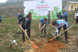 Các đại biểu và đoàn viên thanh niên tham gia trồng cây nhân dịp xuân Tân Sửu năm 2021. (Ảnh: Chu Hiệu/TTXVN) 