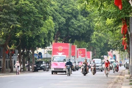 (Ảnh: Đinh Thuận/TTXVN) 