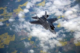 Chiến đấu cơ F-35 của Mỹ. (Ảnh: AFP/TTXVN) 