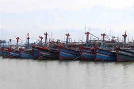 (Ảnh minh họa: Đỗ Trưởng/TTXVN) 
