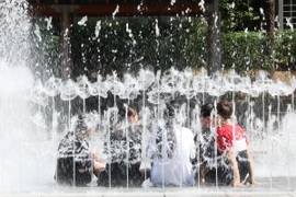 Người dân tránh nóng tại một đài phun nước ở Daegu, Hàn Quốc ngày 10/6/2024. (Ảnh: Yonhap/TTXVN)