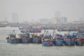 (Ảnh minh họa: Quốc Dũng/TTXVN) 