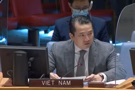 Đại sứ Phạm Hải Anh, Phó Trưởng Phái đoàn Việt Nam tại Liên hợp quốc dự phiên họp về vấn đề Syria. (Ảnh: Khắc Hiếu/TTXVN) 