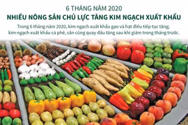 [Infographics] Nhiều nông sản chủ lực tăng kim ngạch xuất khẩu