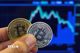 Tiềm năng của thị trường tài sản mã hóa tại Việt Nam cùng các chiến lược phát triển bền vững trong kỷ nguyên số. (Ảnh: TTXVN)
