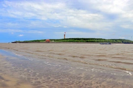 [Photo] Khám phá sự kỳ thú của cồn cát ngoài khơi Mũi Cà Mau