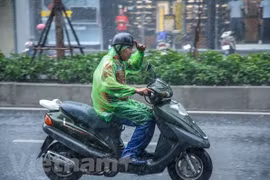 (Ảnh minh họa: Lê Minh Sơn/Vietnam+)