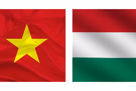 Quan hệ Việt Nam-Hungary phát triển tích cực kể từ khi hai bên nâng cấp quan hệ lên Đối tác Toàn diện năm 2018. (Nguồn: Vietnam+)