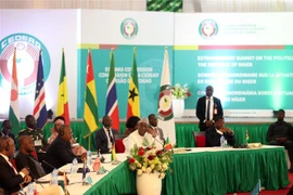 Toàn cảnh phiên họp bất thường các nhà lãnh đạo Cộng đồng Kinh tế Tây Phi (ECOWAS) về tình hình Niger, tại Abuja (Nigeria), ngày 10/8/2023. (Ảnh: AFP/TTXVN)