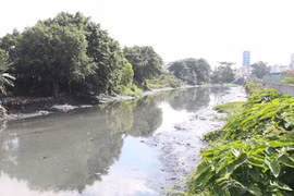 Rạch Xuyên Tâm, đoạn qua địa bàn quận Bình Thạnh, bị ô nhiễm trầm trọng. (Ảnh: Trần Xuân Tình/TTXVN) 