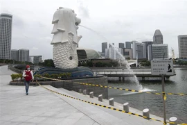 Cuộc bầu cử năm nay của Singapore diễn ra trong giai đoạn khủng hoảng. (Nguồn: THX/TTXVN) 