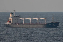 Tàu Razoni chở ngũ cốc của Ukraine di chuyển trên vùng biển phía Tây Bắc Istanbul, Thổ Nhĩ Kỳ ngày 2/8/2022. (Ảnh: AFP/TTXVN) 