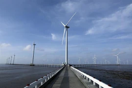 Điện gió Bạc Liêu trở thành địa điểm tham quan hấp dẫn du khách. (Ảnh: Phan Tuấn Anh/TTXVN) 