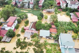 Nước dâng cao làm thiệt hại nhiều tài sản và hoa màu của người dân dọc sông Hồng và trên tuyến đường 32C chạy từ nút giao IC10 Cao tốc Nội Bài-Lào Cai về đầu huyện Hạ Hòa, tỉnh Phú Thọ. (Ảnh: Tạ Toàn/TTXVN)