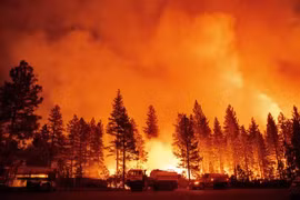 Cháy rừng ở Foresthill, bang California, Mỹ. (Ảnh: AFP/TTXVN)