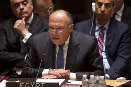 Ngoại trưởng Ai Cập Sameh Shoukry. (Nguồn: Reuters) 