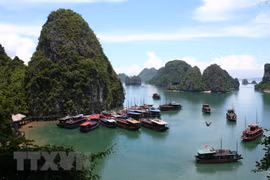 Tàu tham quan Vịnh Hạ Long. (Ảnh: Huy Hùng/TTXVN) 