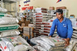 Nhân viên một cửa hàng vật tư nông nghiệp ở huyện Thới Lai chuẩn bị giao phân bón cho khách. (Ảnh: Thanh Liêm/TTXVN) 