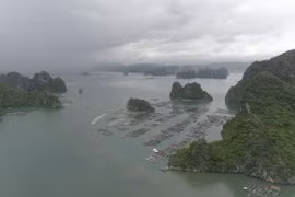 ​Vịnh Bái Tử Long. (Ảnh: Lâm Phan/Vietnam+) 