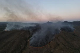 Khói bốc lên từ đám cháy rừng tại bang Goias, Brazil. (Ảnh: THX/TTXVN)