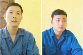 Đối tượng Nguyễn Mậu Văn (trái) và Huỳnh Chí Linh bị bắt tạm giam. (Ảnh: TTXVN phát)