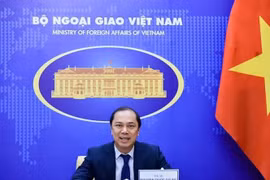 Thứ trưởng Ngoại giao Nguyễn Quốc Dũng. (Ảnh: TTXVN) 