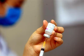 10.041 người đã được tiêm vaccine COVID-19 tại Việt Nam. (Ảnh: An Đăng/TTXVN) 