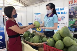 Nhiều gian hàng giới thiệu đặc sản, trái cây vùng miền tại hội chợ. (Ảnh: Mỹ Phương/TTXVN) 