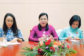 Trưởng Ban Công tác đại biểu Nguyễn Thanh Hải phát biểu. (Nguồn: Báo Quân đội Nhân dân)
