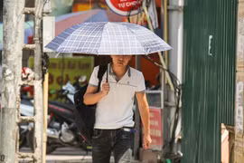 (Ảnh minh họa: Lê Minh Sơn/Vietnam+)