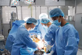 Ảnh minh họa. (Nguồn: TTXVN phát) 
