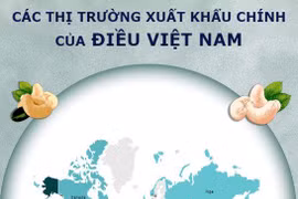 [Infographics] Các thị trường xuất khẩu chính của điều Việt Nam