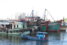 (Ảnh minh họa: Phan Sáu/TTXVN) 