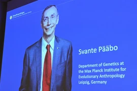 Chân dung nhà khoa học Thụy Điển đoạt giải Nobel Y sinh 2022 Svante Paabo tại Viện Karolinska ở Stockholm (Thụy Điển), ngày 3/10/2022. (Ảnh: AFP/TTXVN) 