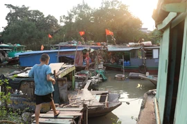 Hình ảnh làng chài duy nhất giữa lòng thành phố Hải Phòng