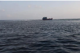 Ảnh minh họa. (Nguồn: TTXVN phát) 