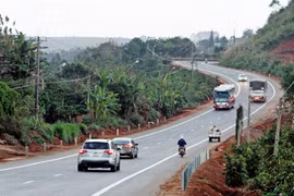 (Ảnh minh họa: Dương Giang/TTXVN) 