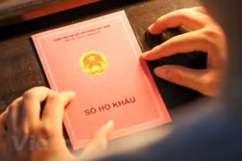 Ảnh minh họa. (Nguồn: Vietnam+)