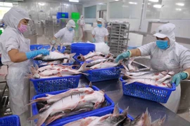 Chế biến cá xuất khẩu. (Ảnh: Vũ Sinh/TTXVN)