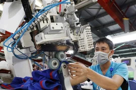 May hàng xuất khẩu tại Công ty Maxport Thái Bình. (Ảnh: Trần Việt/TTXVN)