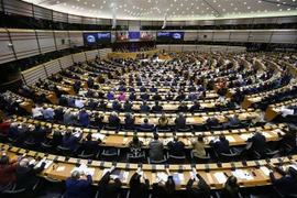 Toàn cảnh một phiên họp Nghị viện châu Âu tại Brussels. (Nguồn: THX/TTXVN) 