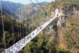 Đông đảo du khách đến tham quan cầu kính Bạch Long. (Ảnh: Quang Quyết/TTXVN)