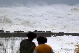 Theo Cơ quan Khí tượng Pháp (Meteo-France), cơn bão Belal mang theo gió lớn đang di chuyển về phía Tây Bắc hòn đảo. (Nguồn: AFP)