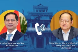 Bộ trưởng Ngoại giao Bùi Thanh Sơn điện đàm với Bí thư Đảng ủy Khu Tự trị dân tộc Choang Quảng Tây. (Ảnh: TTXVN phát) 