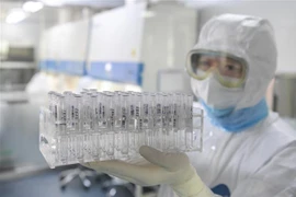 Kỹ thuật viên làm việc trong phòng thí nghiệm ở Hợp Phì, tỉnh An Huy, Trung Quốc, ngày 9/2/2020. (Nguồn: THX/TTXVN) 